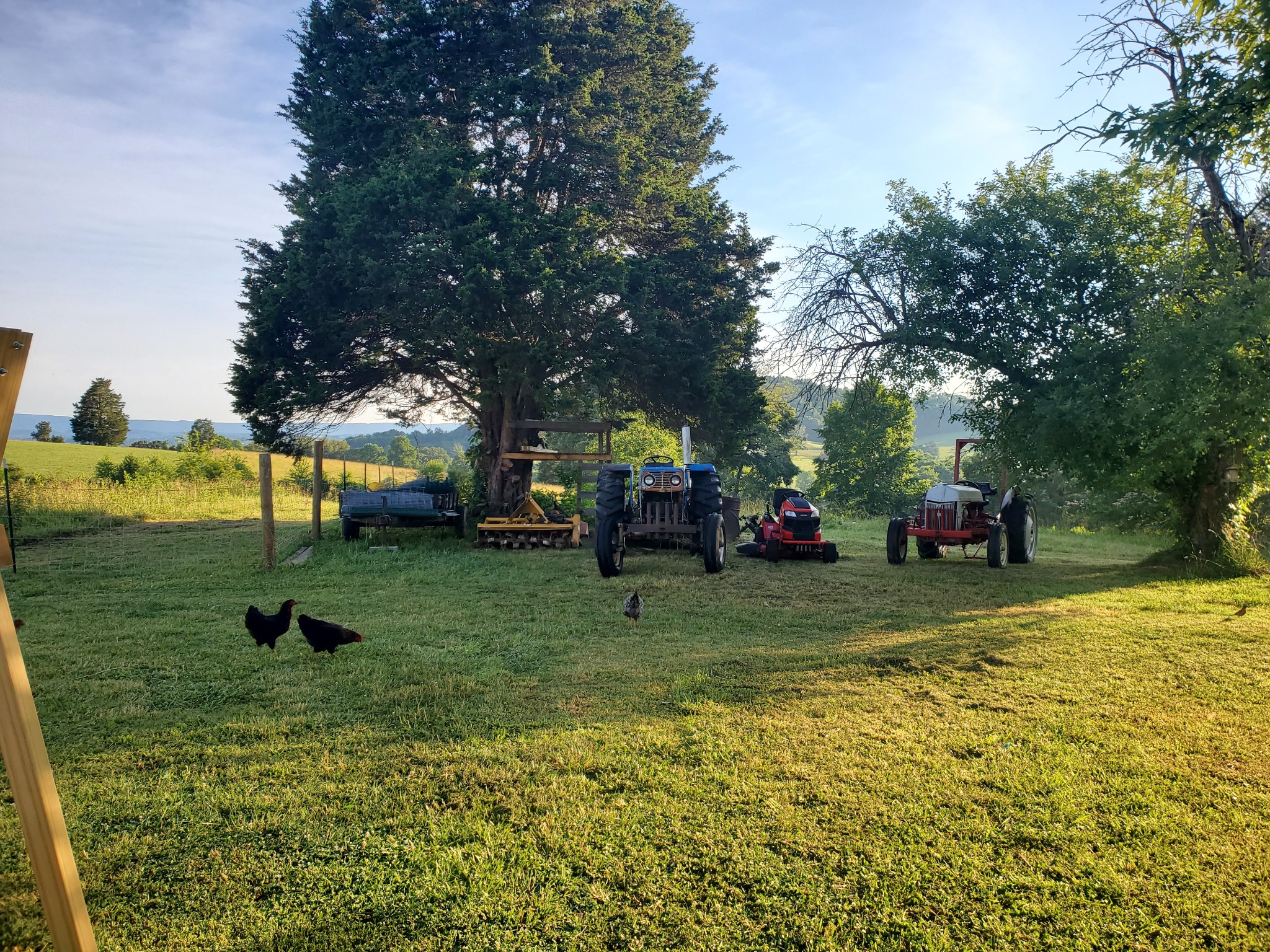 Mature trees and wide country view across the property