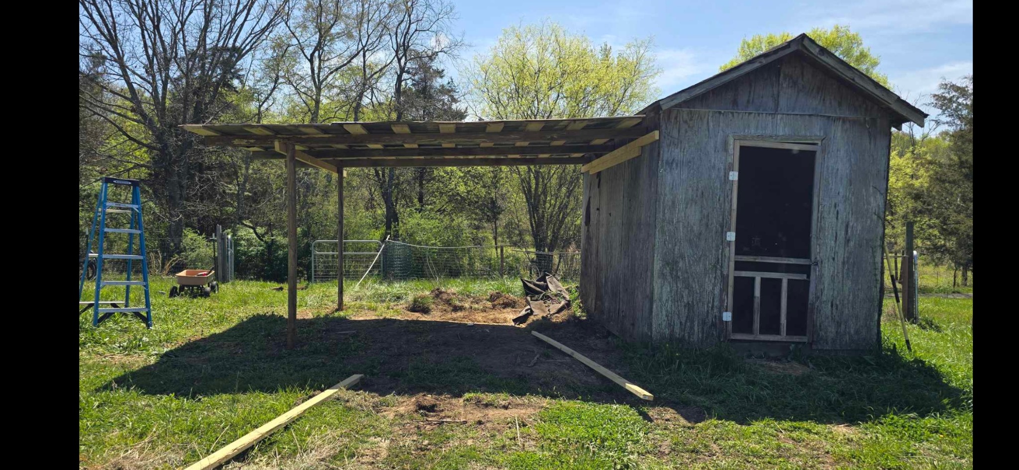 Useful livestock shelter and covered area